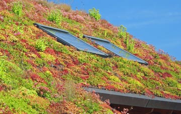 Lower Bobbingworth Green living roof systems